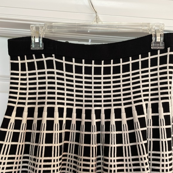 Flit and Flare A Line Skirt - Picture 4 of 6